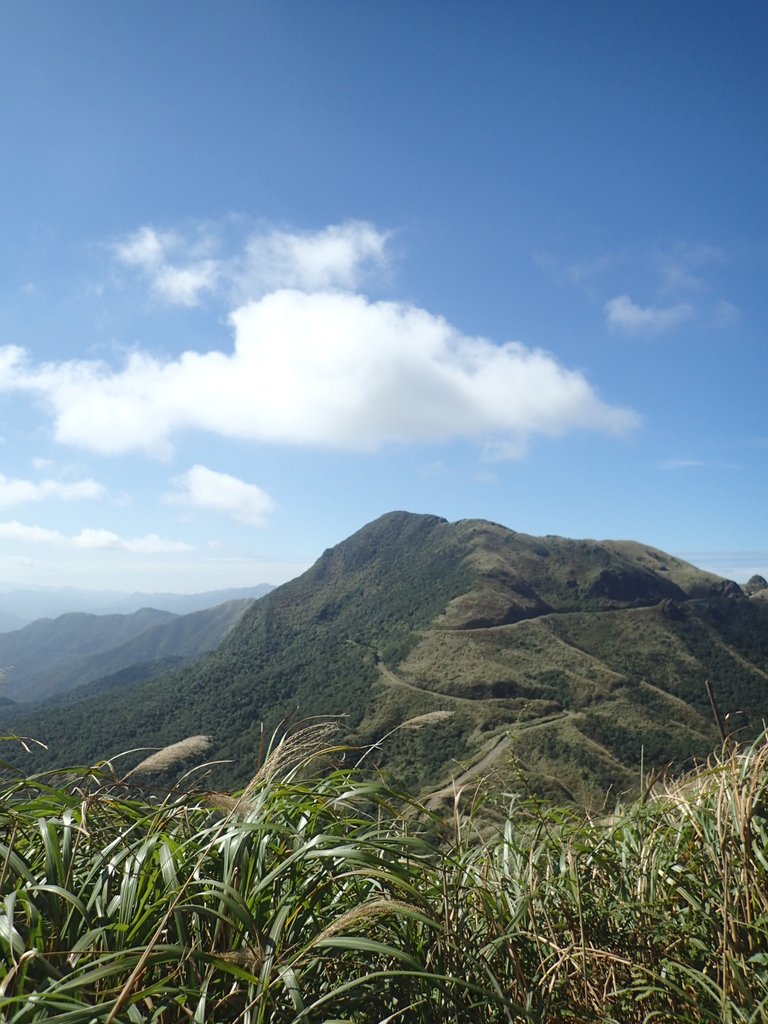 P1216552.JPG - 瑞芳  草山戰備道  (01)