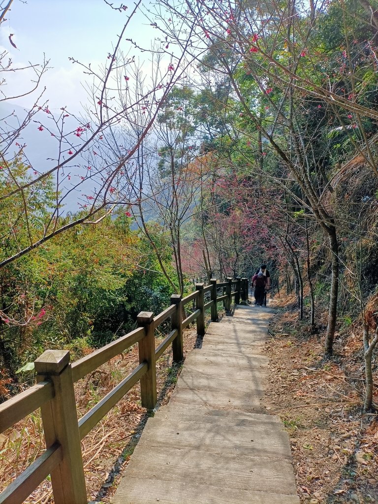 IMG20210130103112.jpg - 竹崎  獨立山登山步道