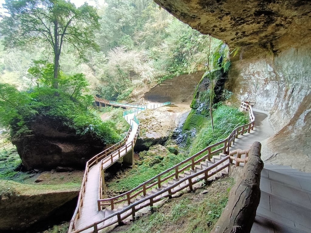 IMG20210205122728.jpg - 竹山  杉林溪森林遊樂園  路過