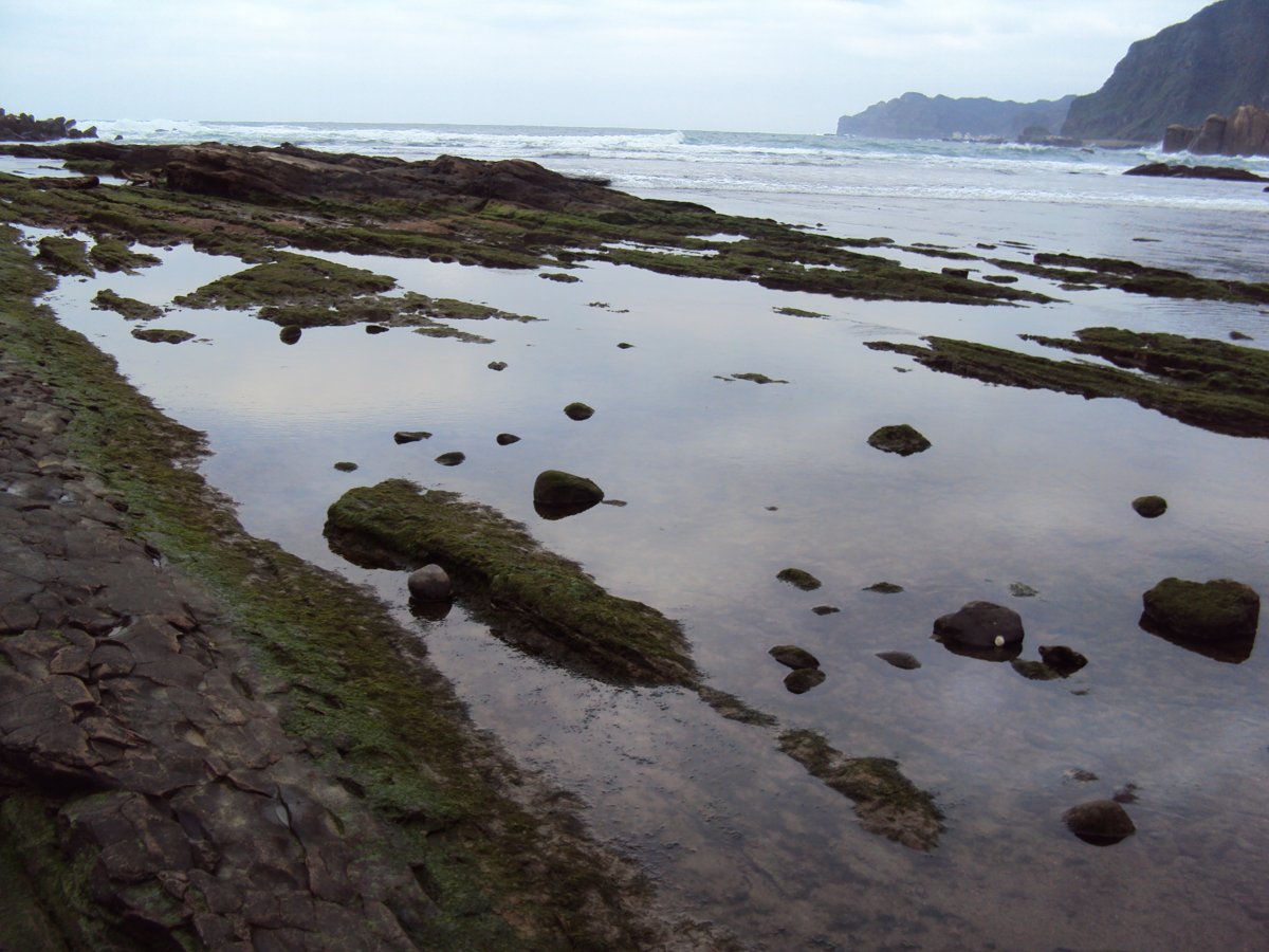 DSC06354.JPG - 瑞芳  南雅海岸岩石之美