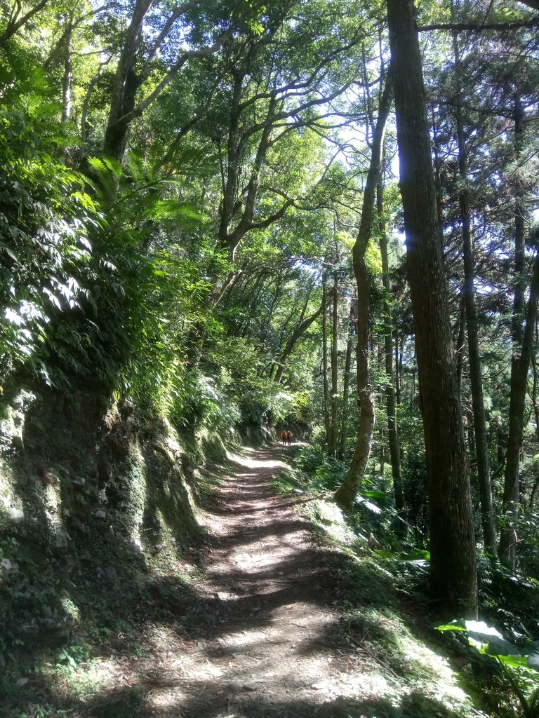 DSC_9011.JPG - 復興  東滿步道