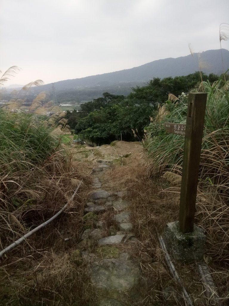 DSC_3333.JPG - 金山  大路崁古道