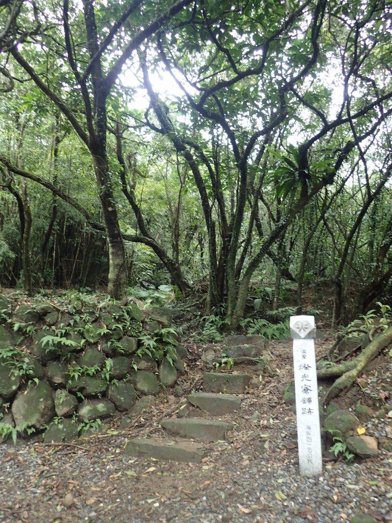 P1274449.JPG - 瑞芳  燦光寮古道初探