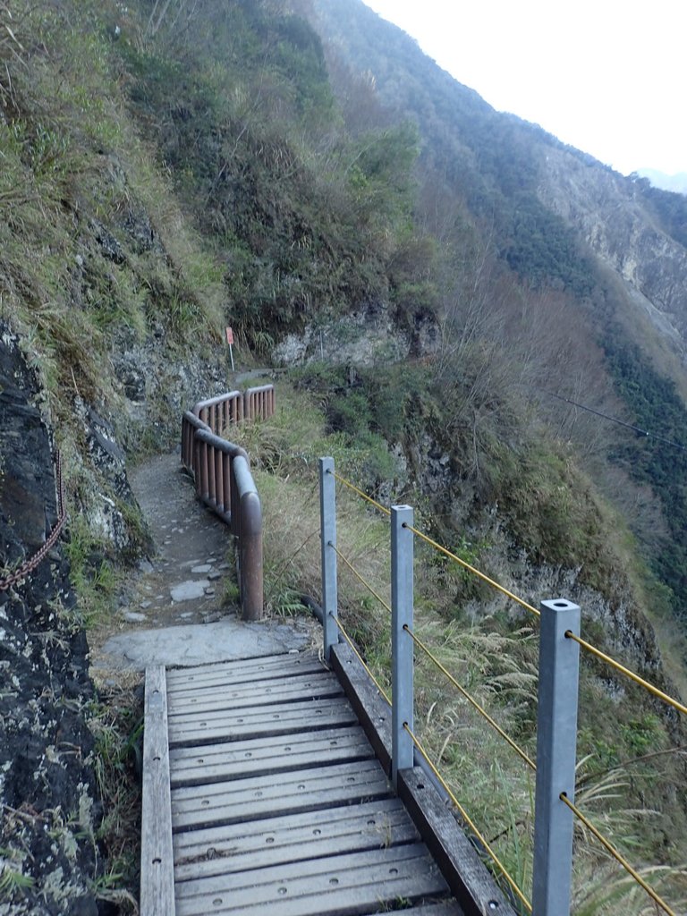 P1022692.JPG - 東埔  八通關古道