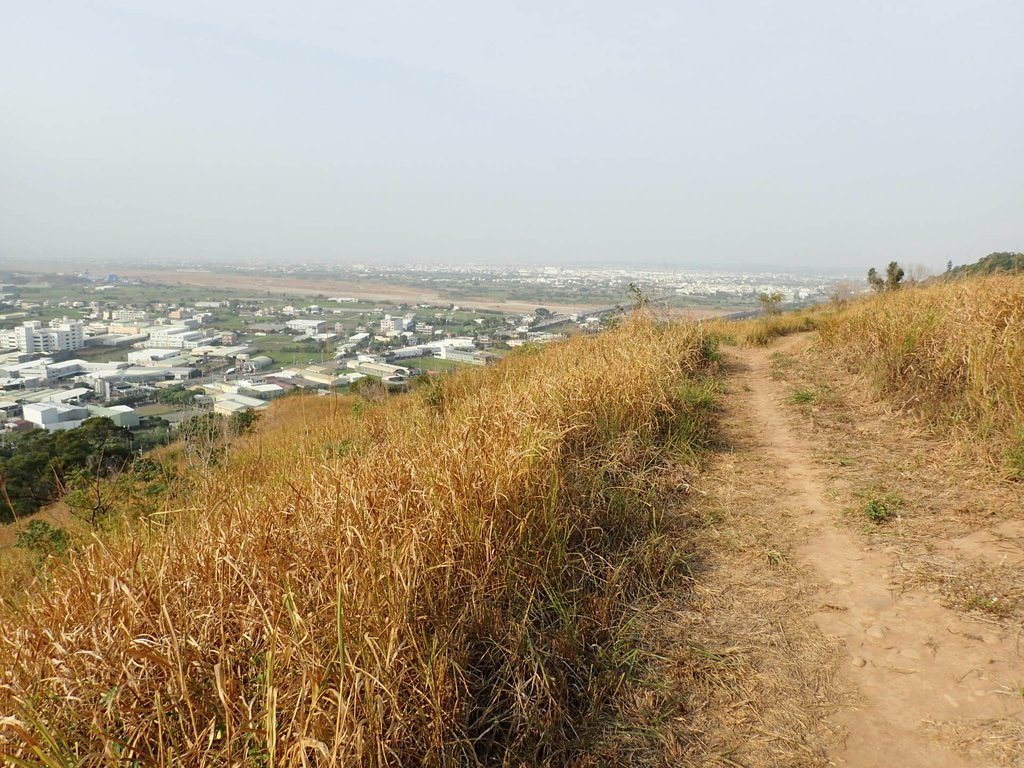 PA160971.JPG - 大甲  鐵砧山大草原