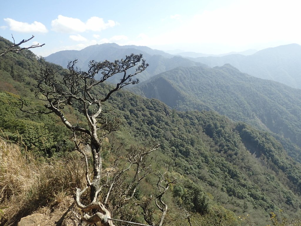 P2034819.JPG - 南庄  加里山