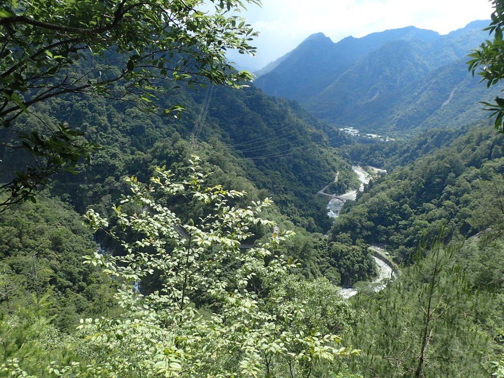 P6054144.JPG - 谷關七雄之  馬崙山  (上)