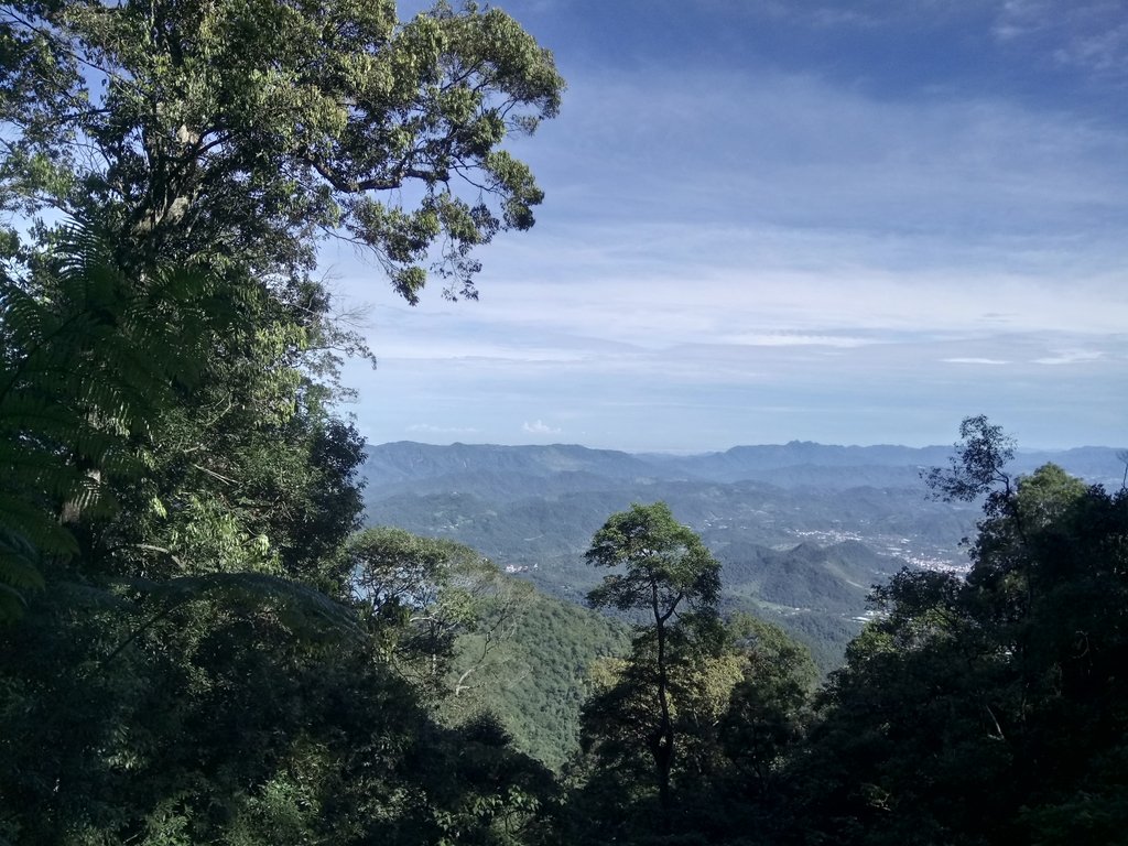 DSC_3780.JPG - 魚池  水社大山