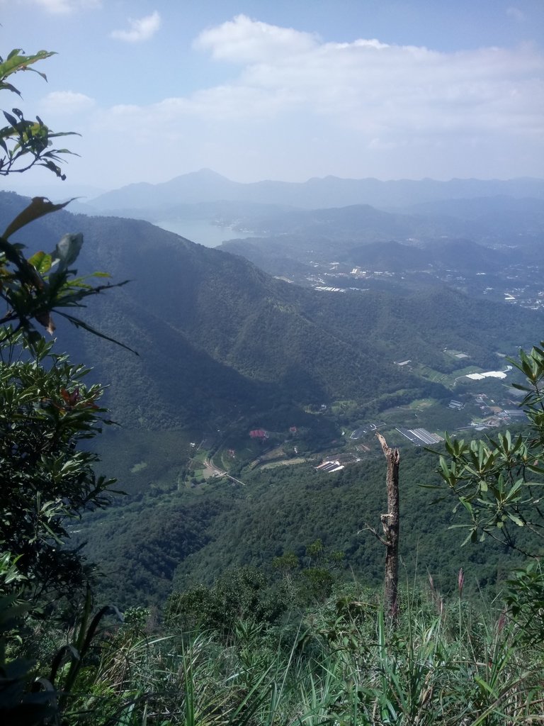 DSC_4064.JPG - 魚池  大尖山登山步道