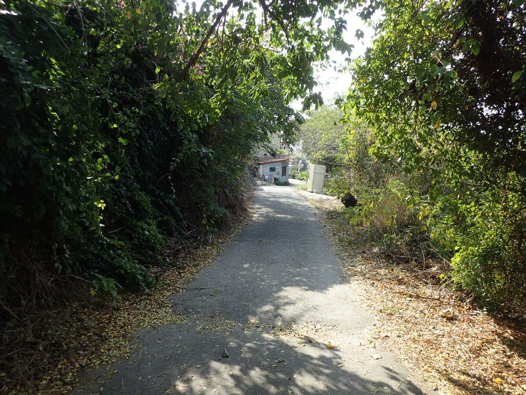 PC306583.JPG - 再訪  清水神社