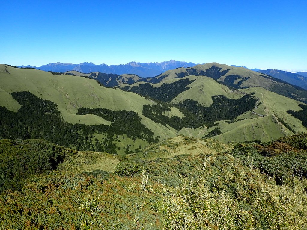 PC132125.JPG - 合歡山  東峰