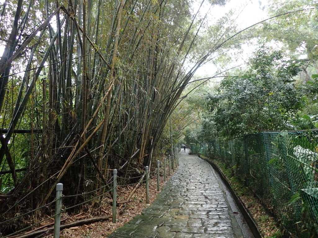 P1062017.JPG - 土城  承天寺  朝山步道