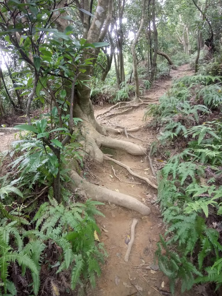 DSC_2302.JPG - 大直圓山風景區  劍潭山