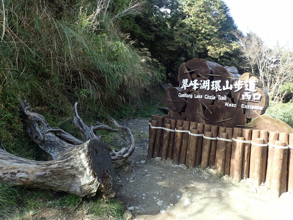 PB265511.JPG - 太平山  翠峰湖環山步道  02