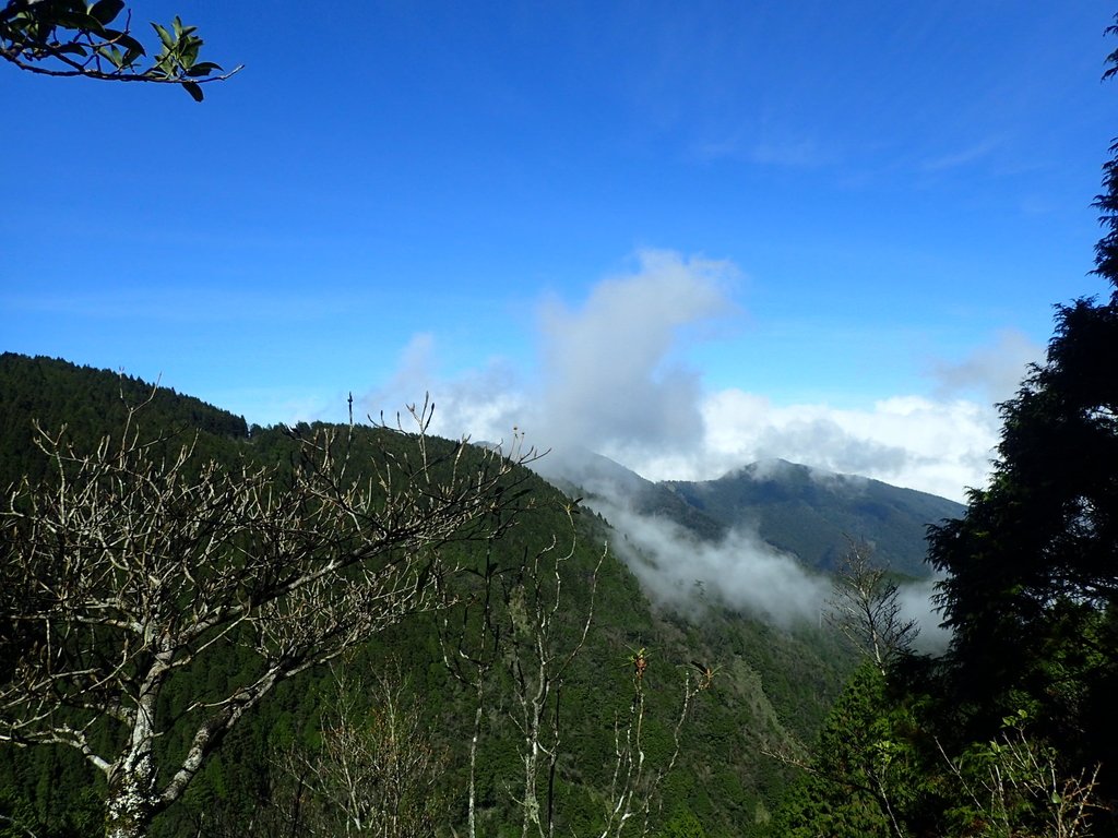 PB265451.JPG - 太平山  翠峰湖環山步道  02