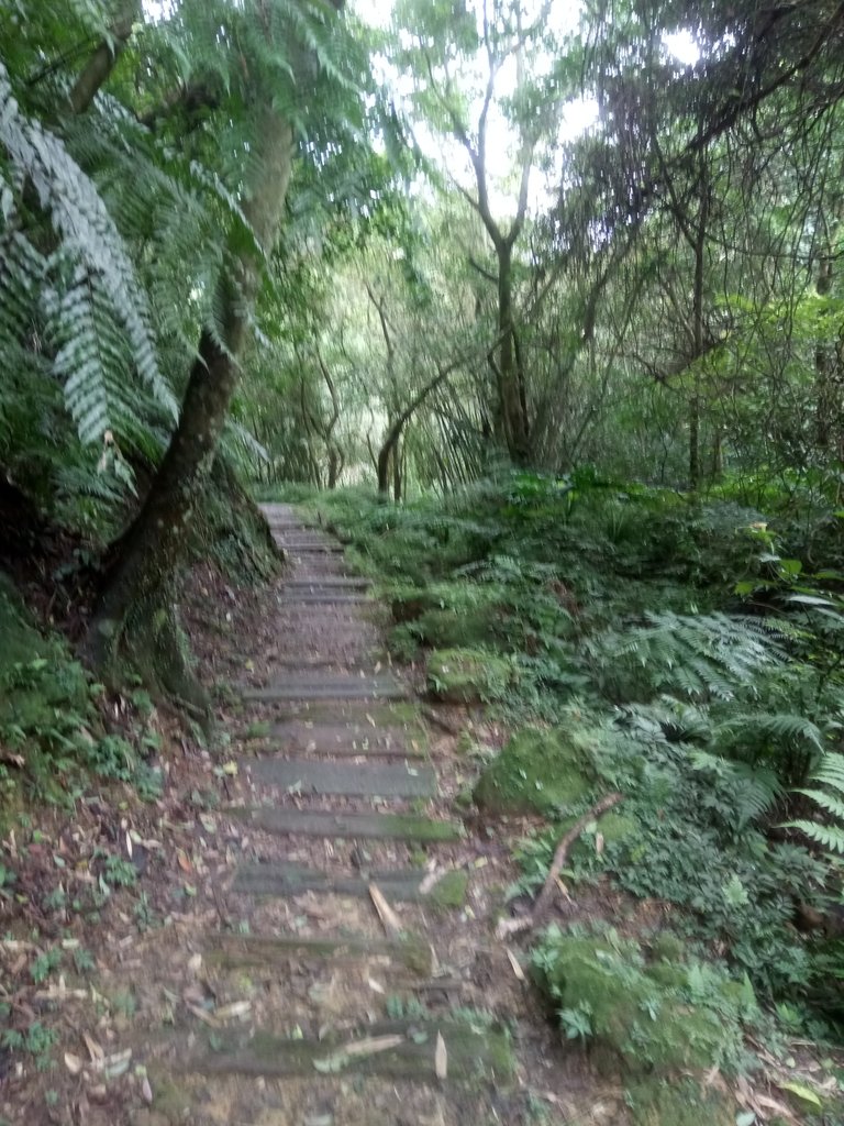 DSC_6031.JPG - 深坑  土庫岳登山步道  (01)