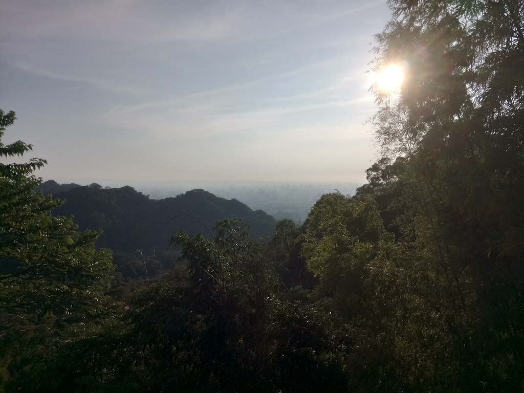 DSC_0693.JPG - 潭子 聚興山  新田登山步道