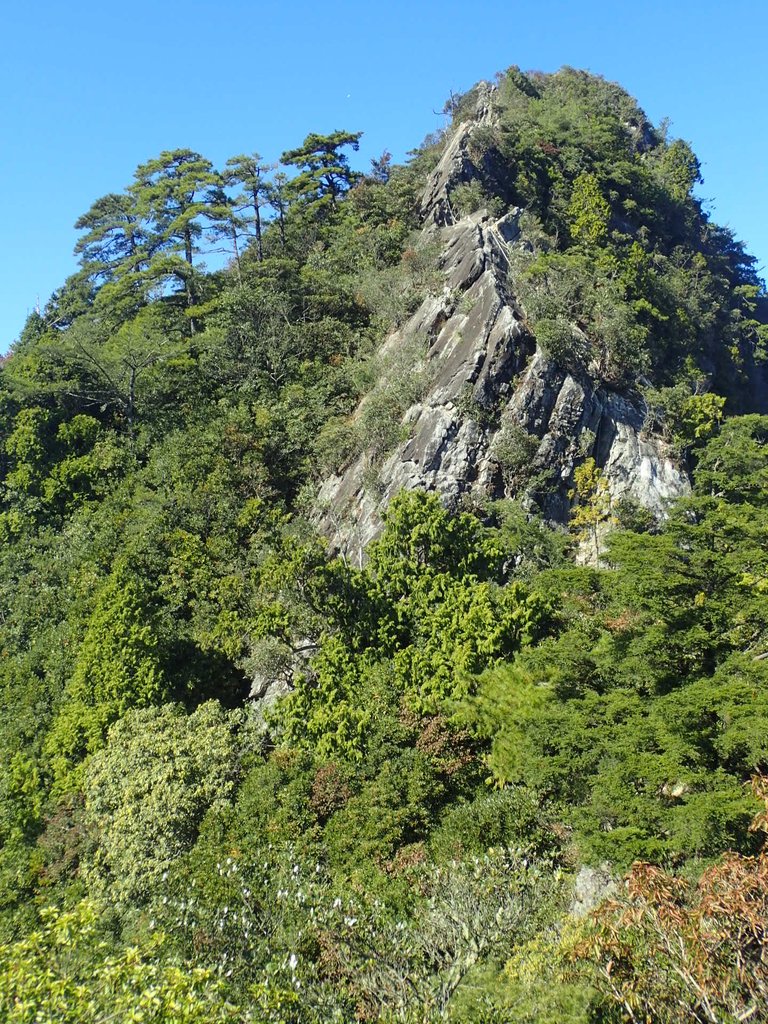 PA185556.JPG - 再訪---  台中  和平  鳶嘴山