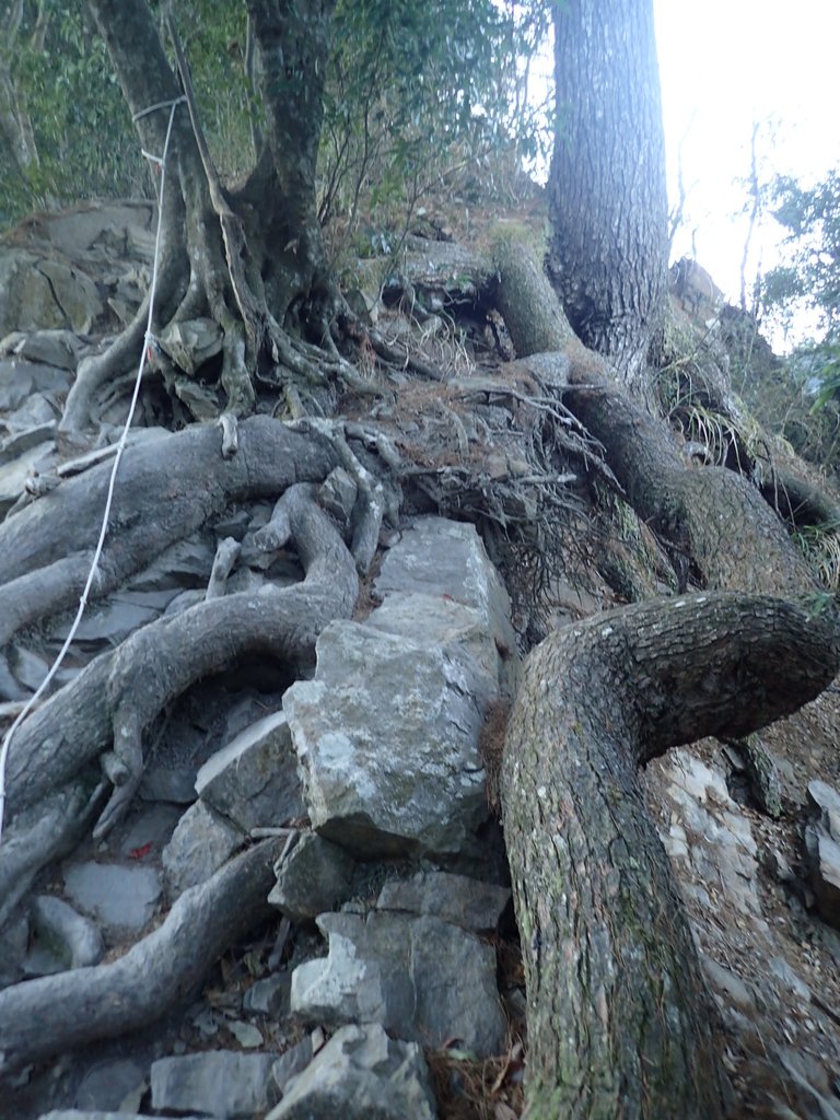 P2275855.JPG - 谷關七雄之  唐麻丹山