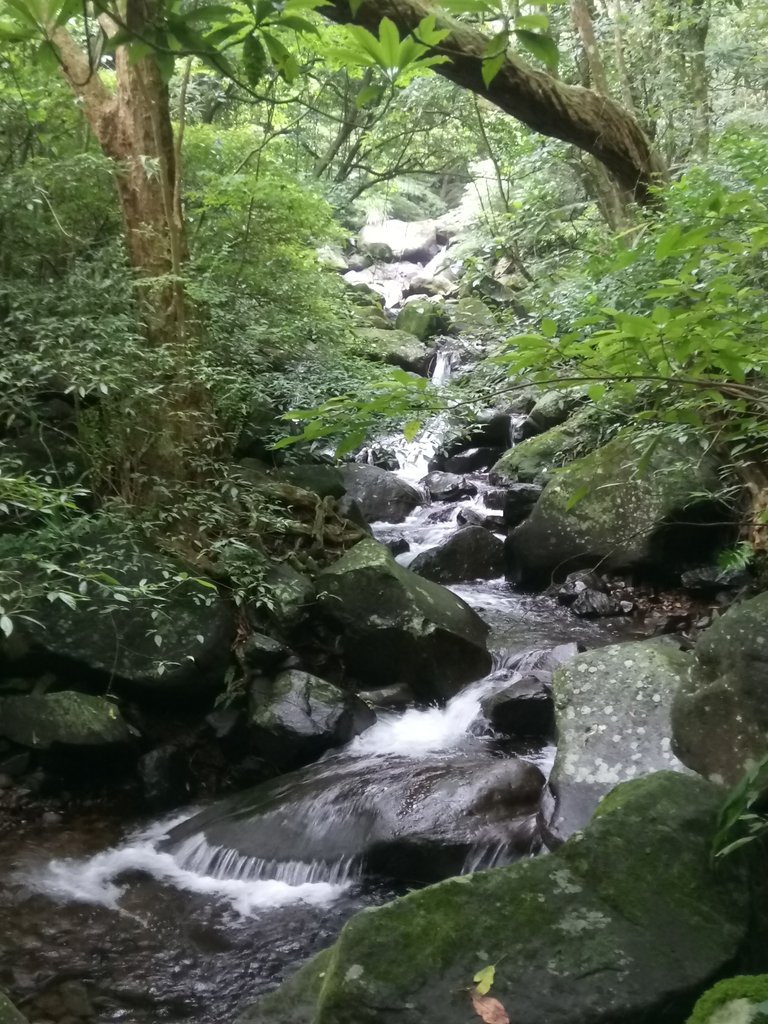 DSC_0700.JPG - 三芝  大屯溪古道