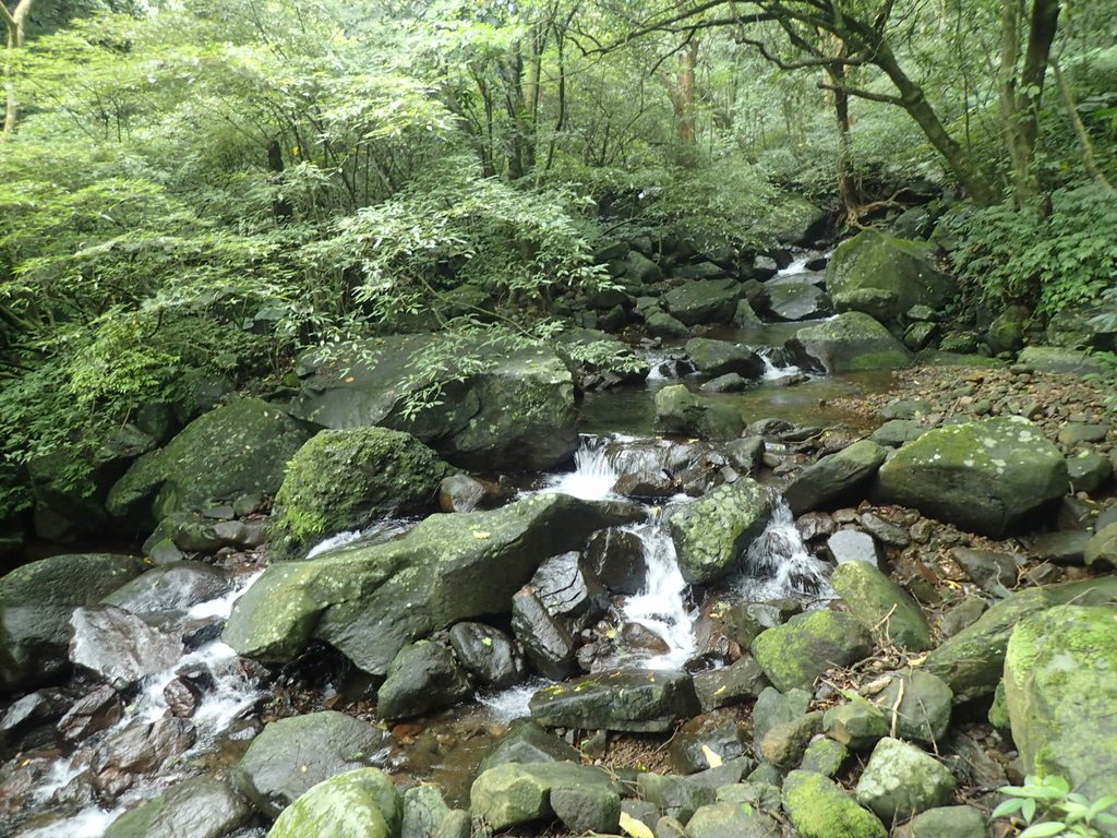 P6114281.JPG - 三芝  大屯溪古道