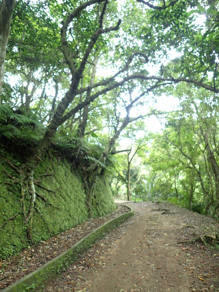 P9240106.JPG - 汐止  北港二坑礦場遺址