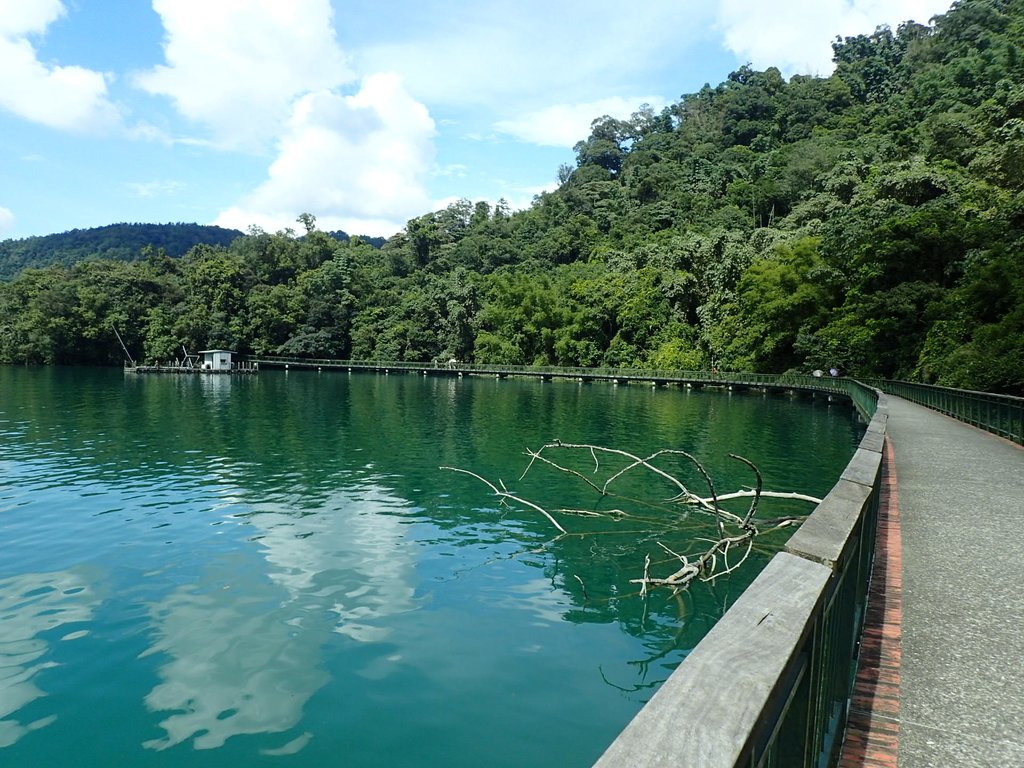 P9017587.JPG - 日月潭之  水蛙頭步道