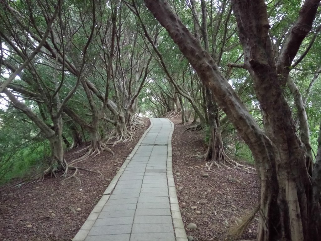 DSC_4009.JPG - 大肚  萬里長城登山步道