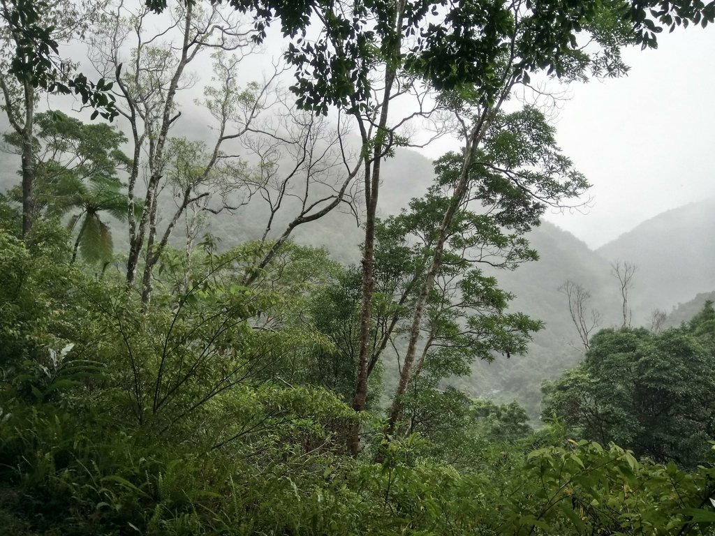 DSC_5094.JPG - 烏來  西坑林道  探幽