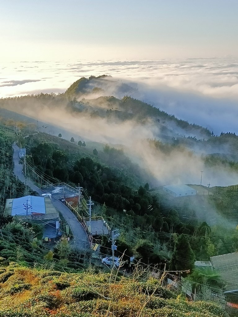 IMG20210107164444.jpg - 鹿谷  大崙山  觀霧亭之  暮光