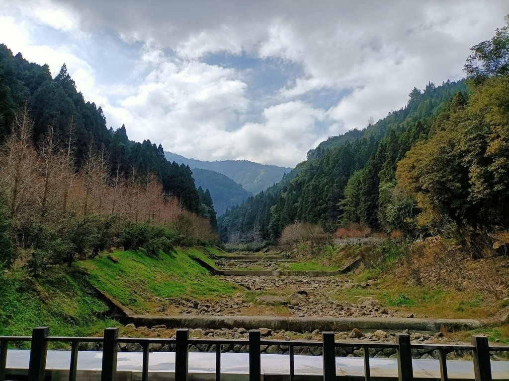 IMG20210205125748.jpg - 竹山  杉林溪森林遊樂園  路過