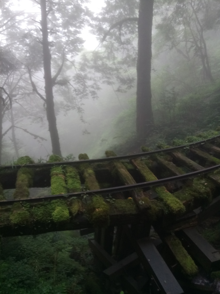 DSC_5634.JPG - 太平山 見晴懷古步道