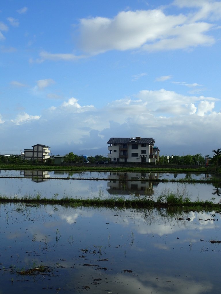 PA104182.JPG - 壯圍  竹安  水田雲影