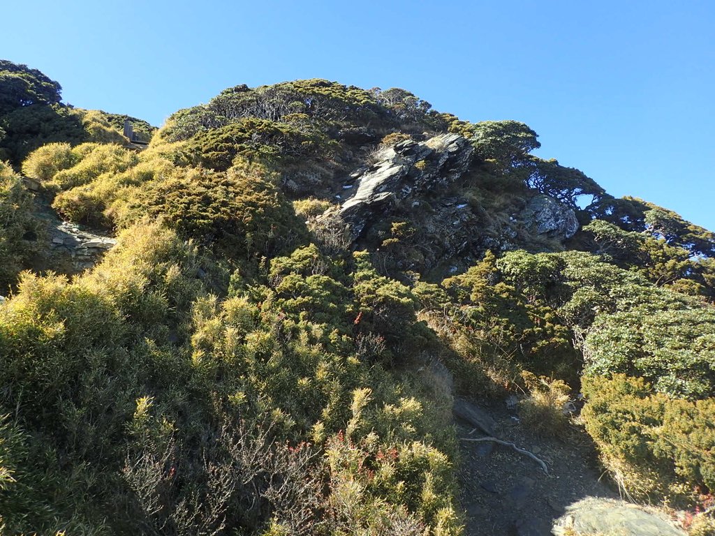 PC132128.JPG - 合歡山  東峰