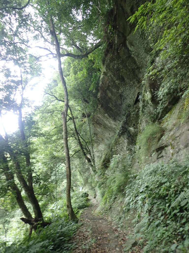 PA231746.JPG - 石壁山  嘉南雲峰步道