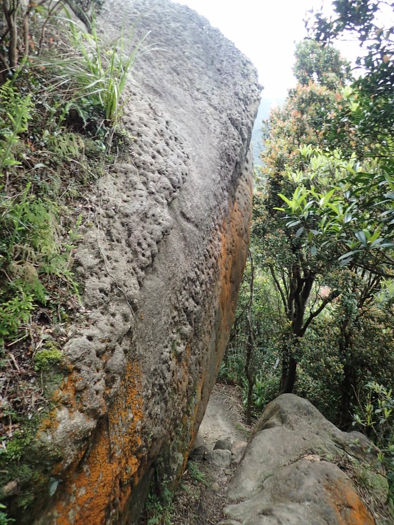 P3160091.JPG - 汐止  柯子林山  如意湖