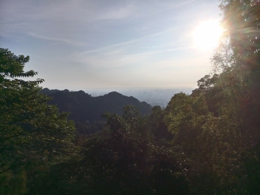 DSC_0694.JPG - 潭子 聚興山  新田登山步道