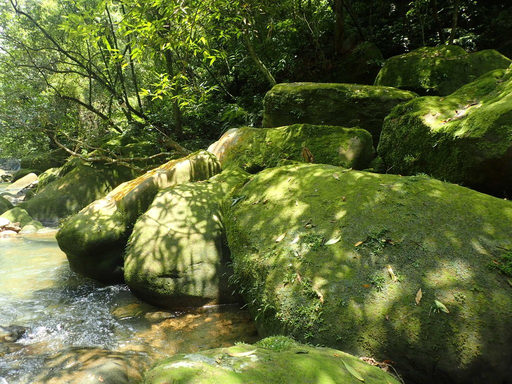 P7214132.JPG - 七堵  友蚋溪谷  石公潭