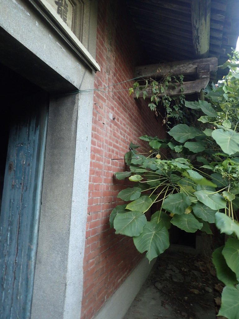 PA196495.JPG - 記憶廢墟  (357)