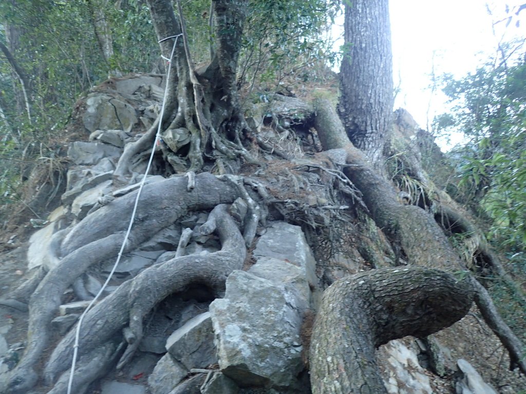 P2275856.JPG - 谷關七雄之  唐麻丹山