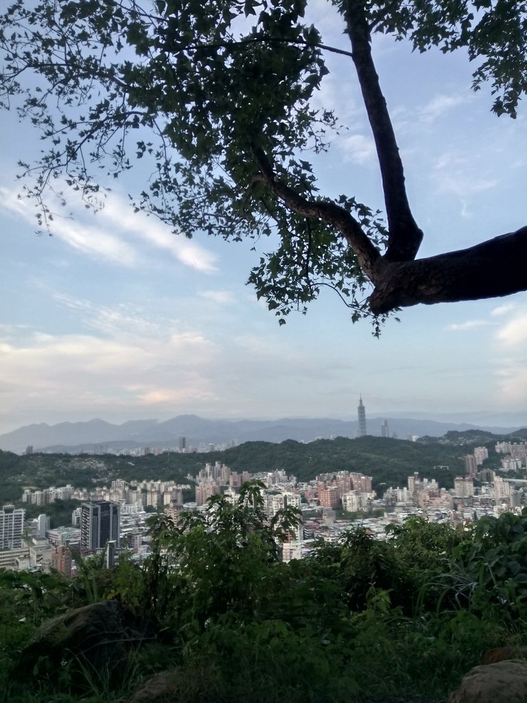 DSC_2696.JPG - 景美  仙跡岩親山步道