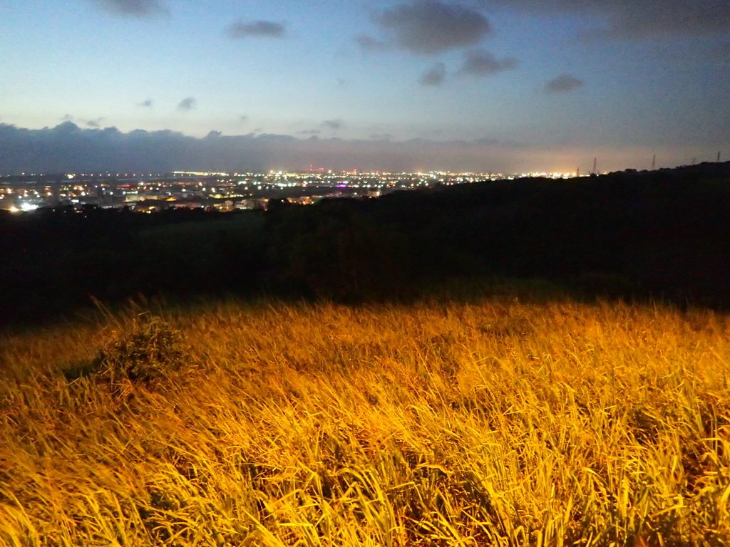 P9148470.JPG - 大肚  藍色公路之  夜色