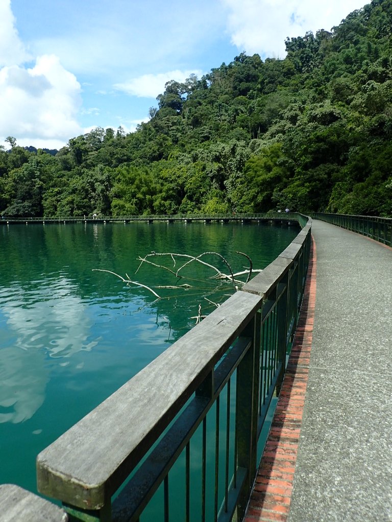 P9017589.JPG - 日月潭之  水蛙頭步道