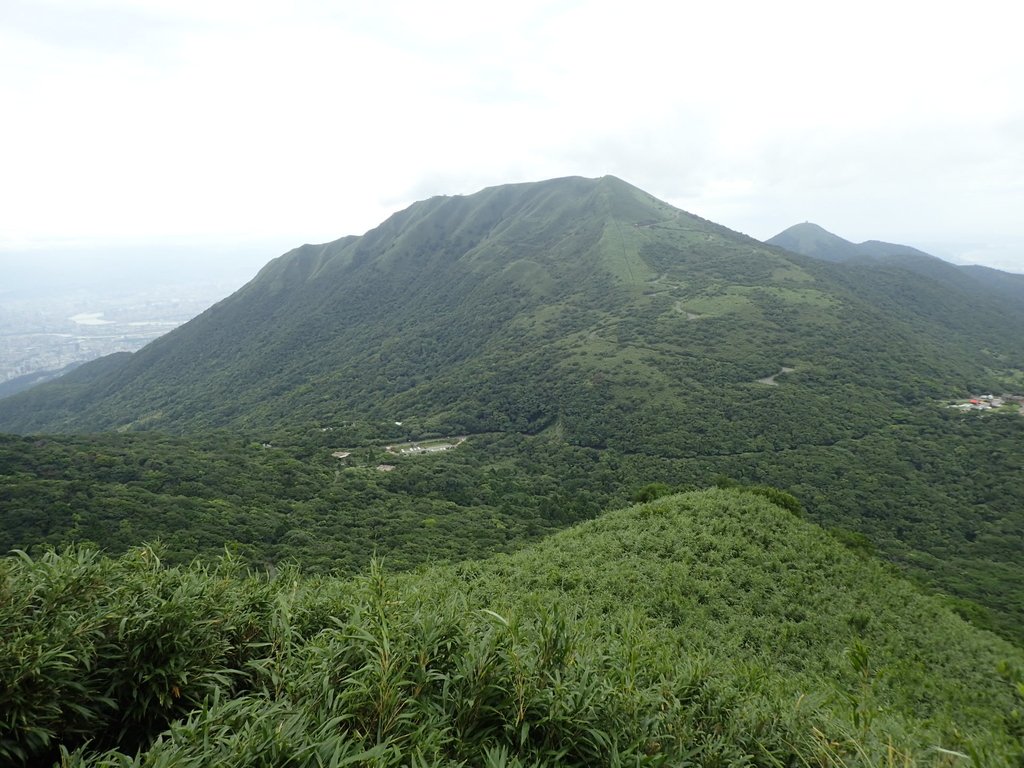 P7165505.JPG - 小觀音山  西峰登山步道