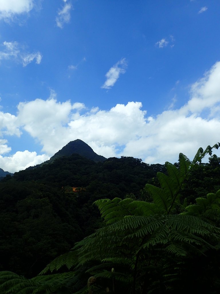 P7175581.JPG - 坪林  石嘈  尖山湖瀑布