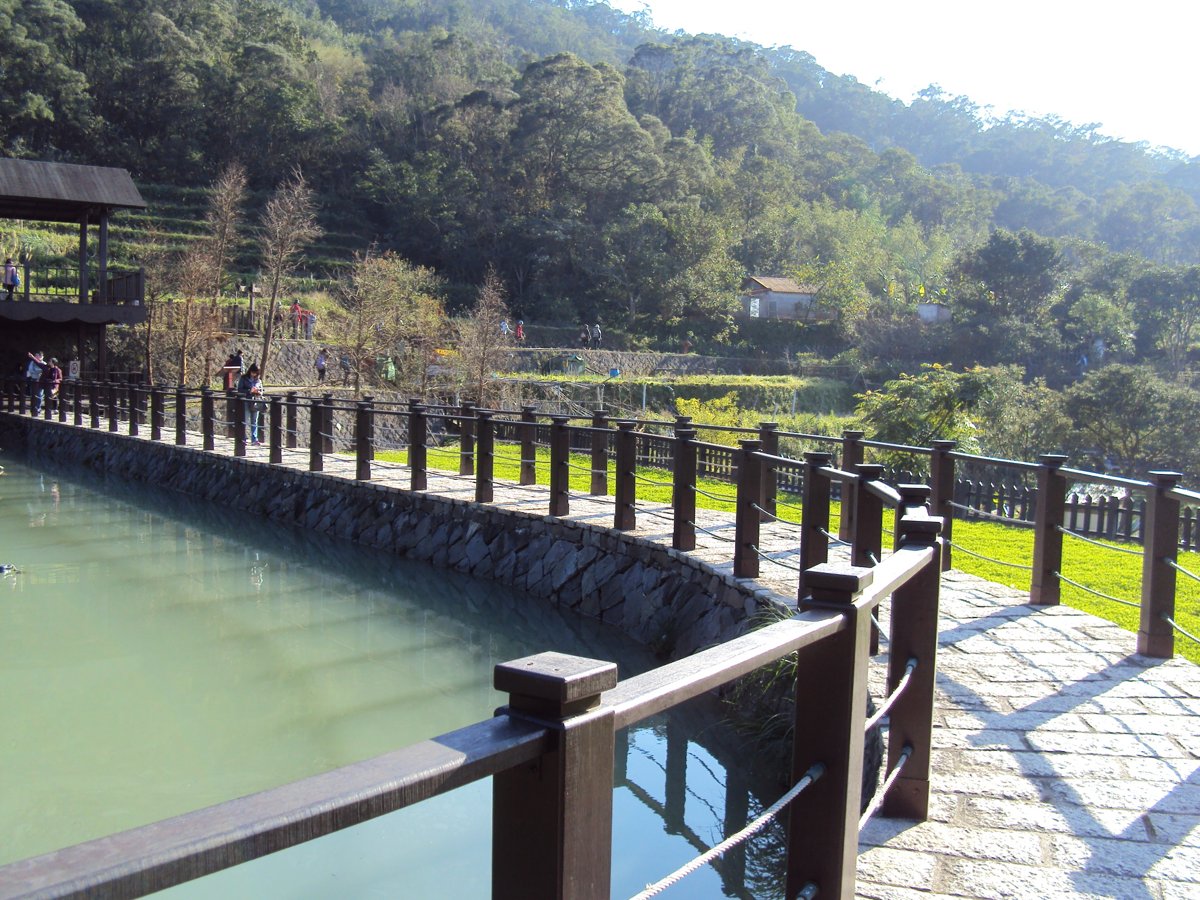 DSC03473.JPG - 貓空  樟樹步道