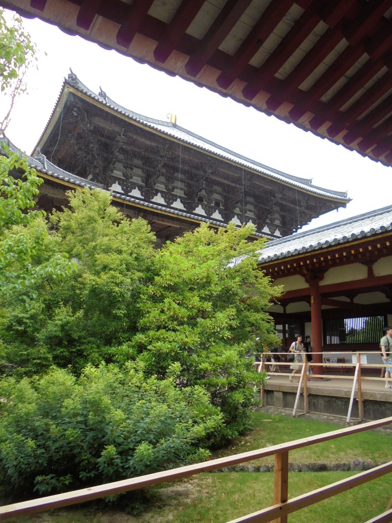 DSC03880.JPG - 奈良  東大寺