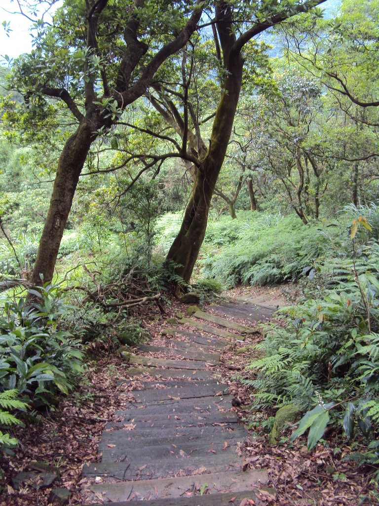 DSC07601.JPG - 瑞芳  粗坑口登山步道