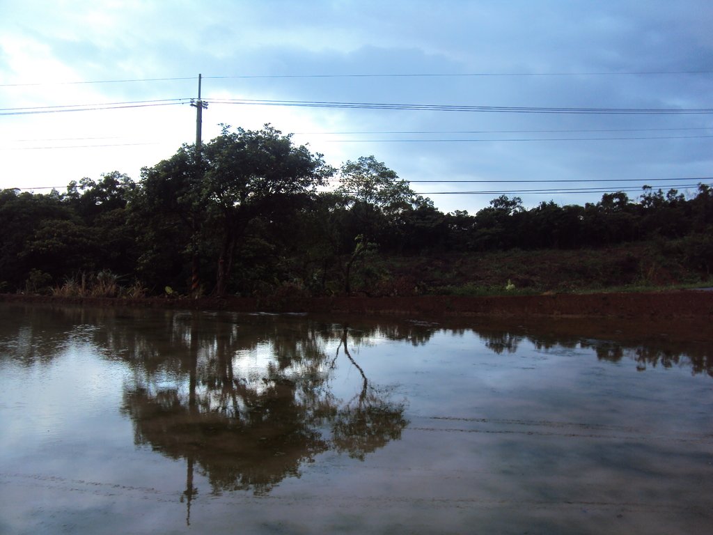 DSC09128.JPG - 石門  水塘映像