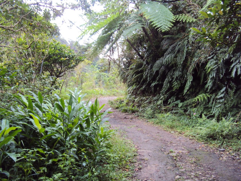 DSC03845.JPG - 礁溪  跑馬古道